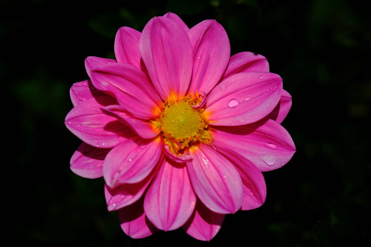 How to Create a Nail Art Masterpiece: The Ultimate Guide to Tools and Techniques