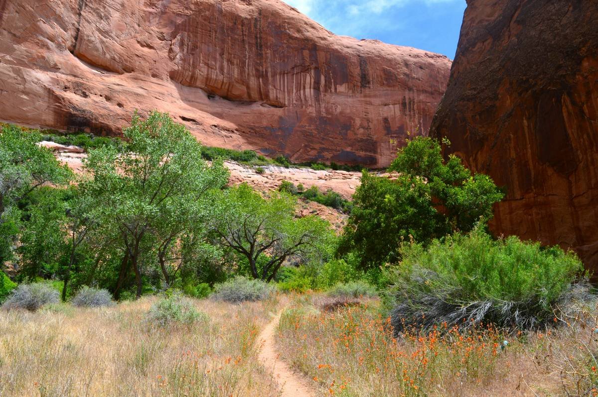 A desert trail going through a hidden canyon in Utah.